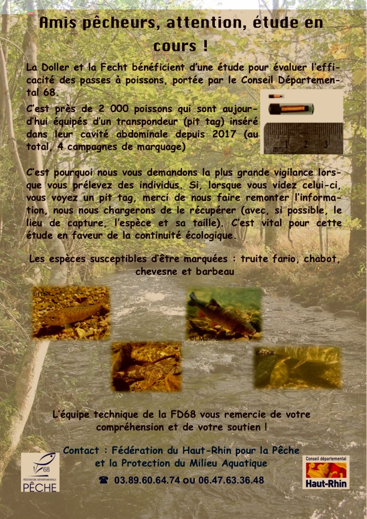 Affiche attention marquage.jpg